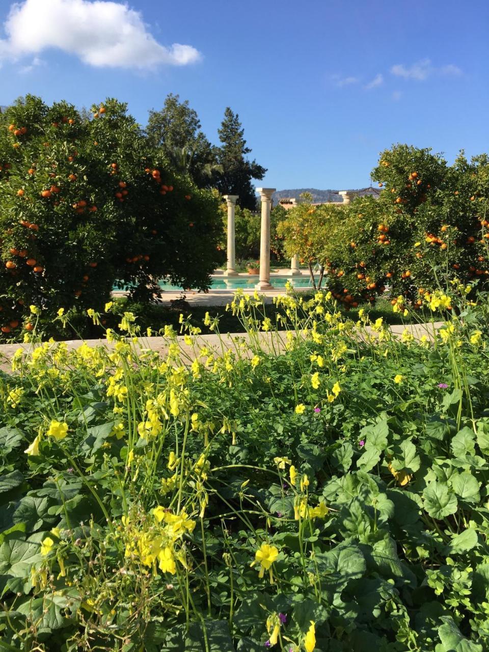 Finca Cas Sant Sóller Dış mekan fotoğraf