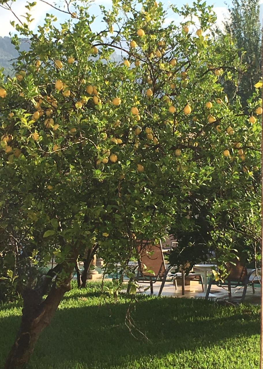 Finca Cas Sant Sóller Dış mekan fotoğraf
